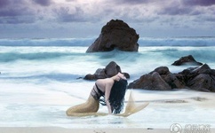 污网站WALLPAPER共享人可以看到订阅